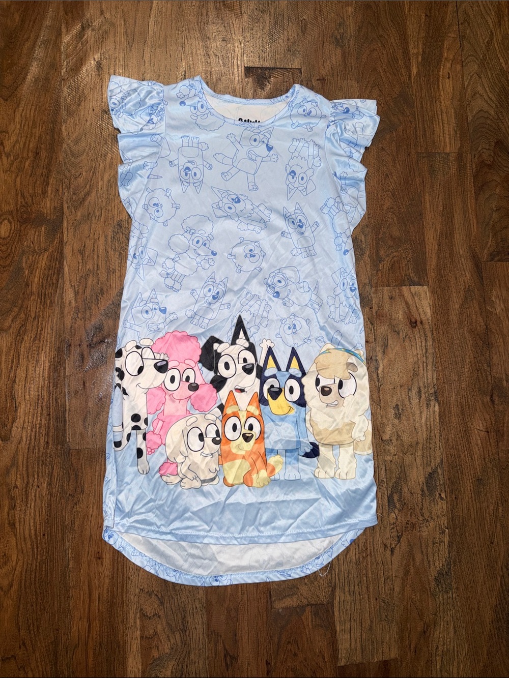 Bluey Nightgown Size L (10/12)